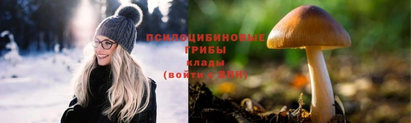 прущий лед Арсеньев