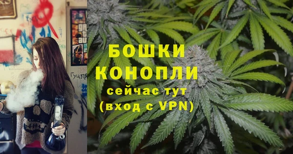 бошки Аркадак