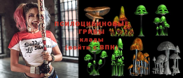 прущий лед Арсеньев